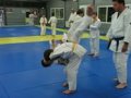  Fuji Judo