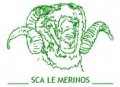  Fédération Départementale Ovine des Bouches-du-Rhône Syndicat des Eleveurs du Mérinos