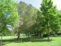  Arboretum du Domaine du Lac
